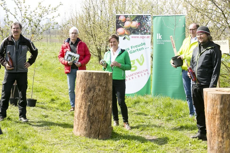 Rankweil am 19.4.2021 PK Pressekonferenz OGV Obst und Gartenkul