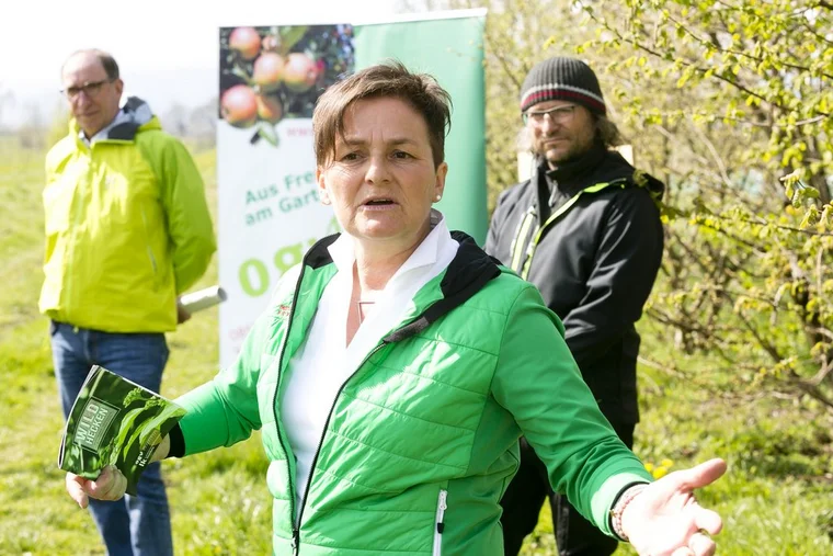 Rankweil am 19.4.2021 PK Pressekonferenz OGV Obst und Gartenkul