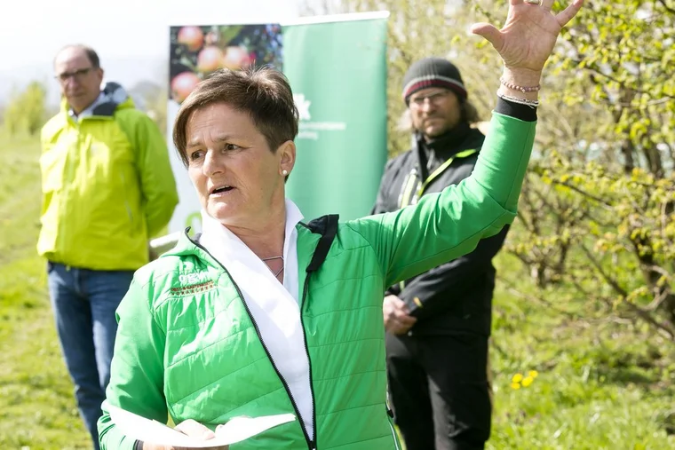 Rankweil am 19.4.2021 PK Pressekonferenz OGV Obst und Gartenkul
