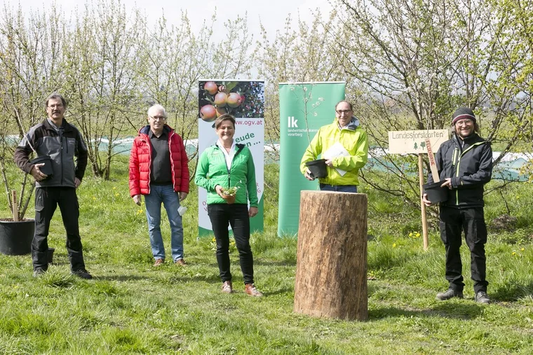 Rankweil am 19.4.2021 PK Pressekonferenz OGV Obst und Gartenkul