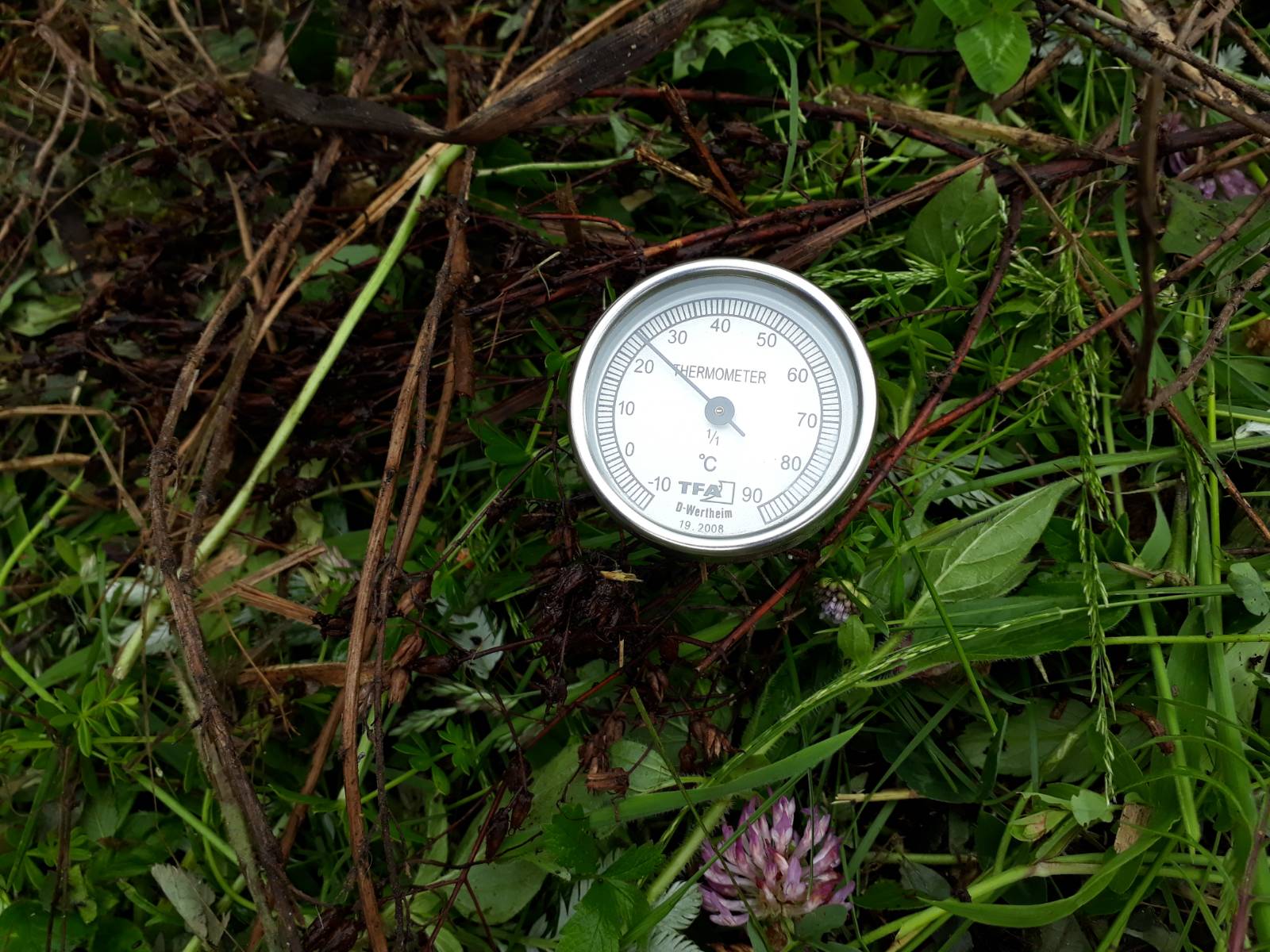 Die Temperatur im Komposthaufen kann bis zu 60 Grad erreichen.