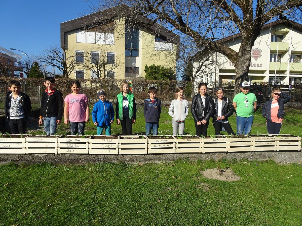 OGV Obst- und Gartenkultur Vorarlberg: Mi Kischta-Gärtle VS-Hohenweiler ...