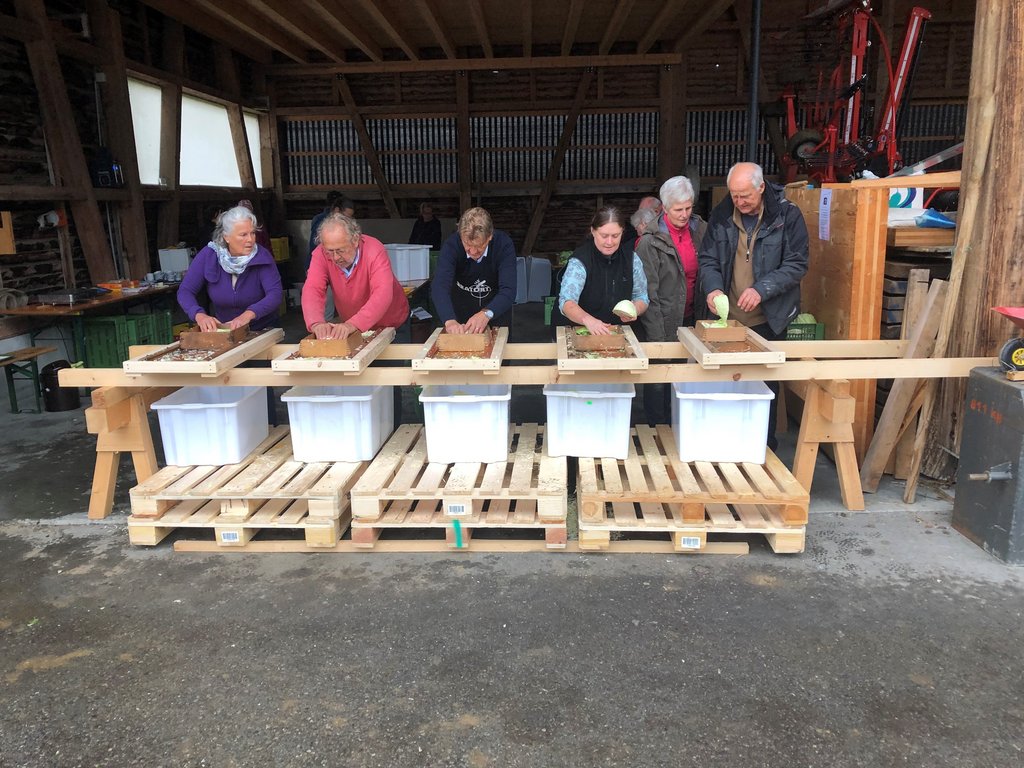 Bildrecht: OGV-Hörbranz