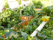 OGV Obst und Gartenkultur Vorarlberg Hochbeete richtig befüllen